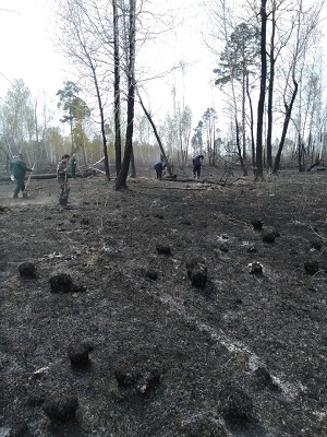 Сотрудники БентИзол борются с лесными пожарами в Курганской области