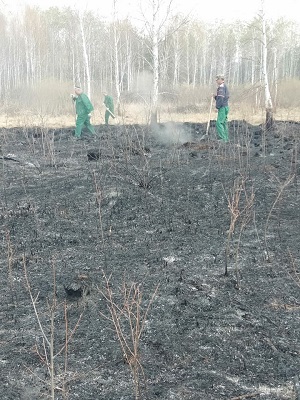 Сотрудники БентИзол участвуют в тушении лесных пожаров в Курганской области