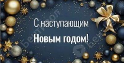С наступающими Новогодними праздниками!